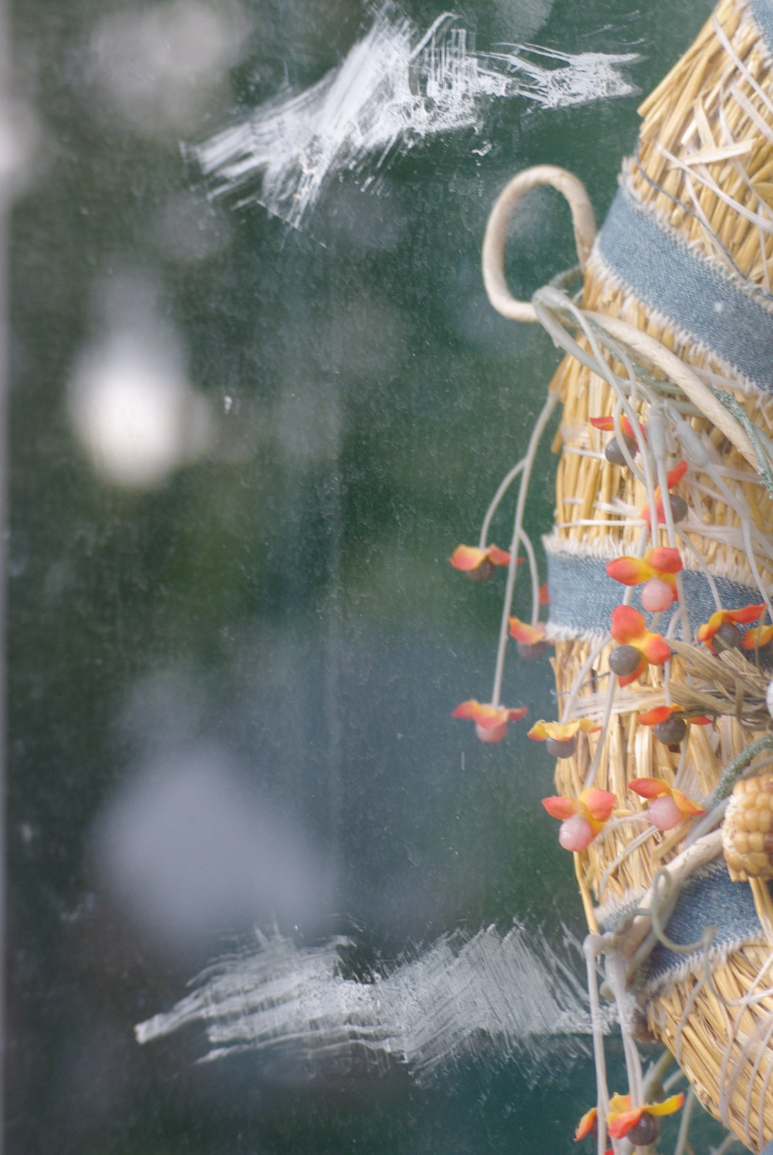 You can see part of my door wreath behind the glass with the glue stains from the city warning me about the leaf bags I left in front of my house.  Nazis!