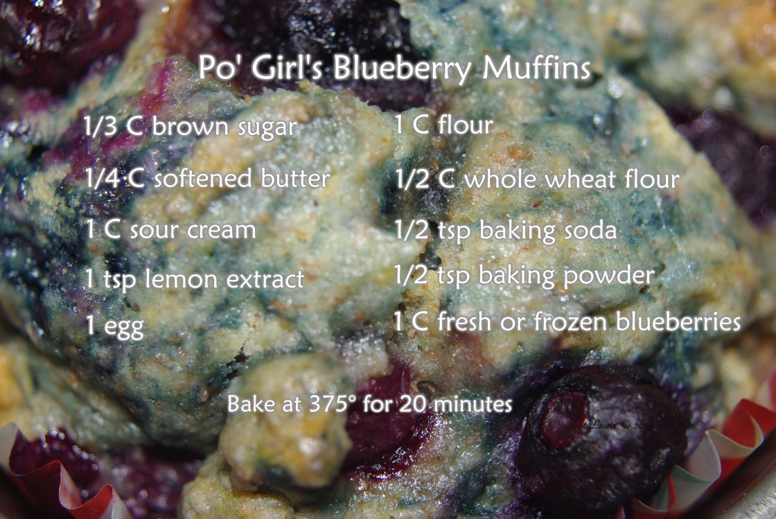 PGBlueberryMuffins