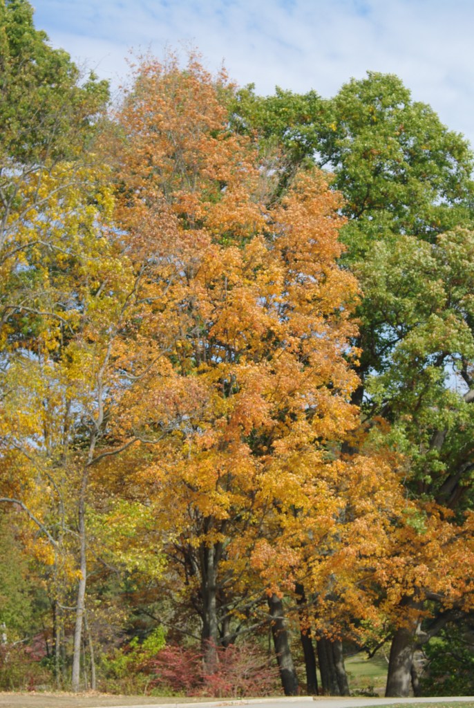 OctHiddenLakeGardensFall 117