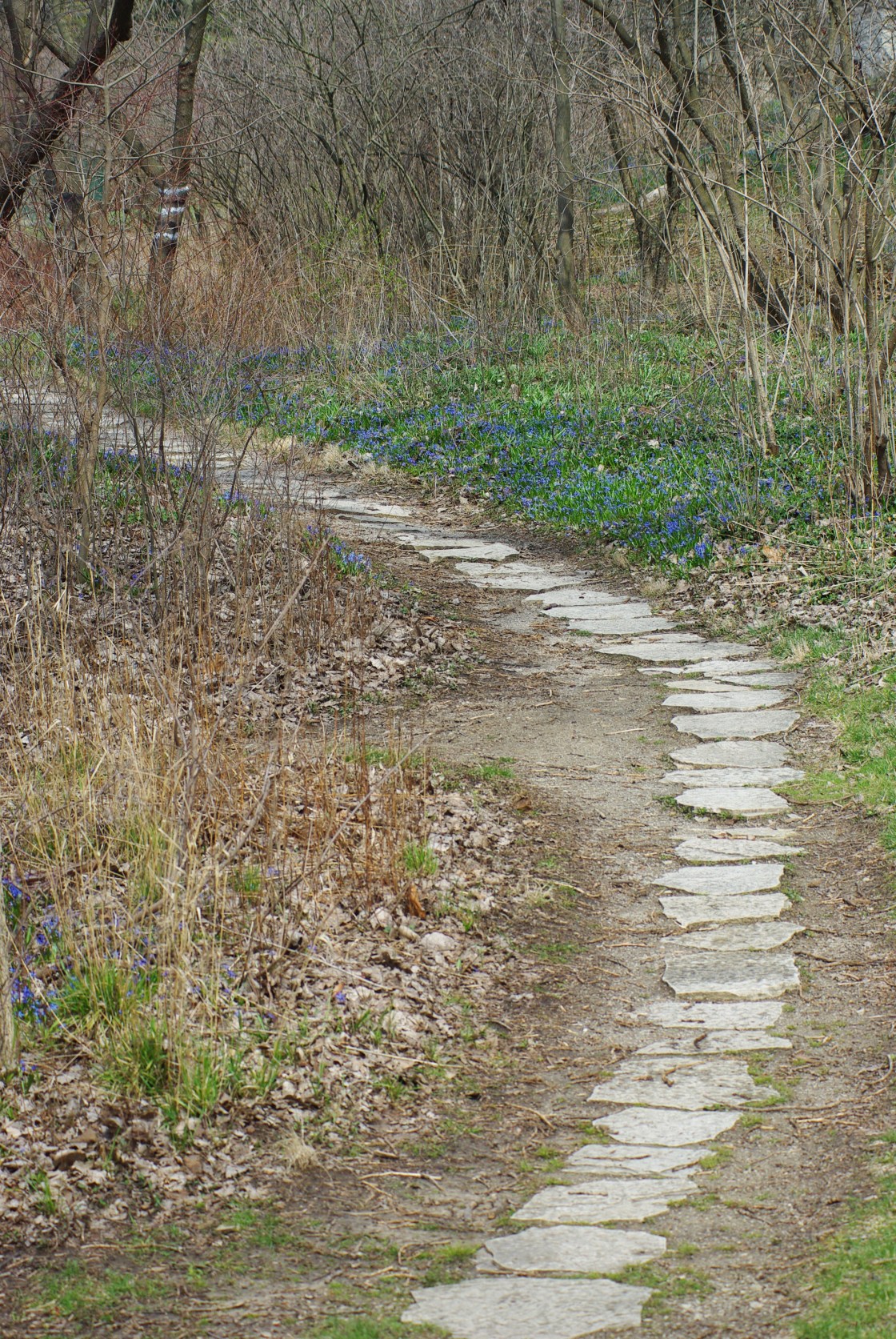 2013AprilFairlaneManor 072