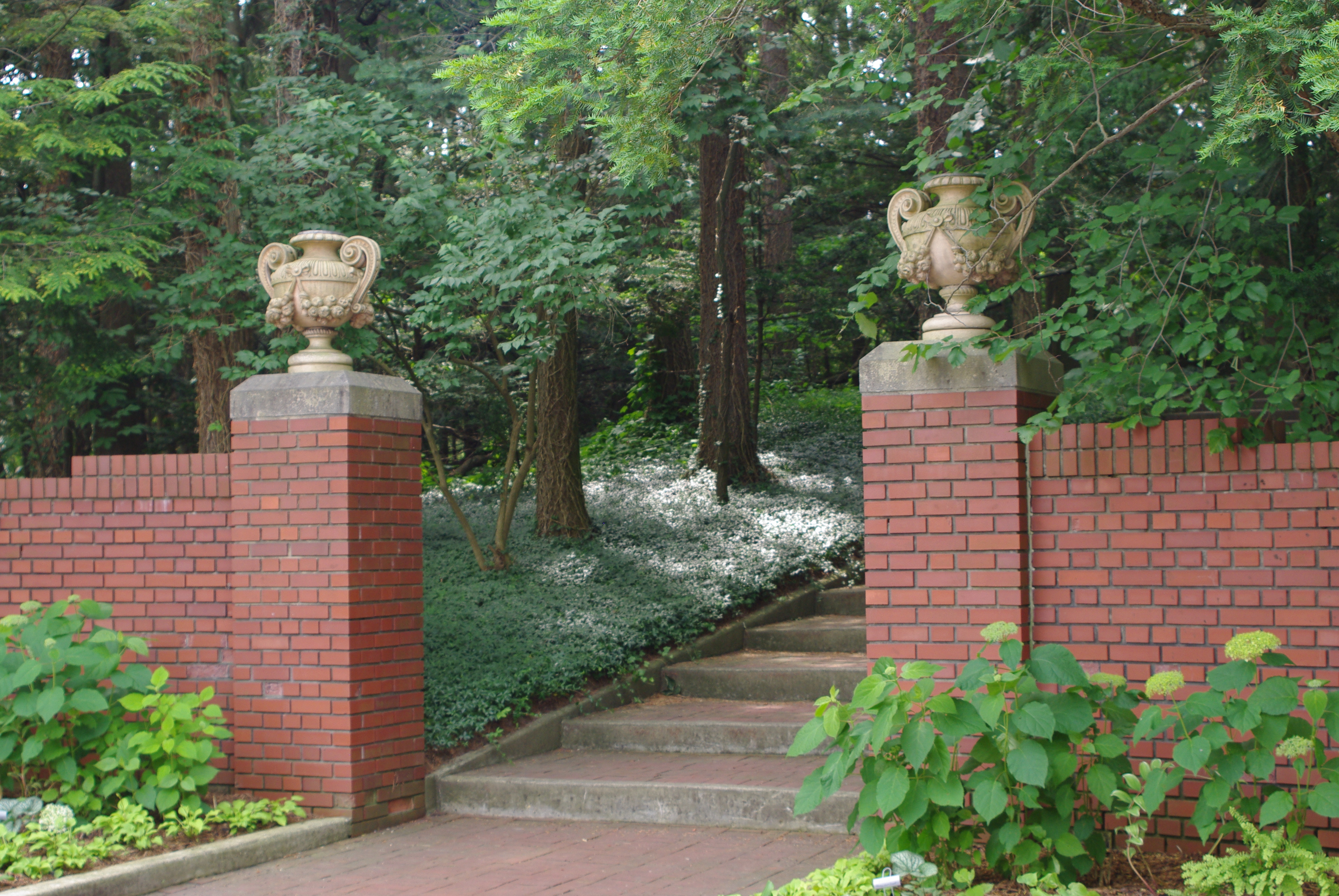 June2015CranbrookGardens 093