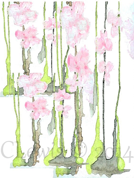 Increased the color saturation to +50 really making the colors "pop" I think the kids call it.