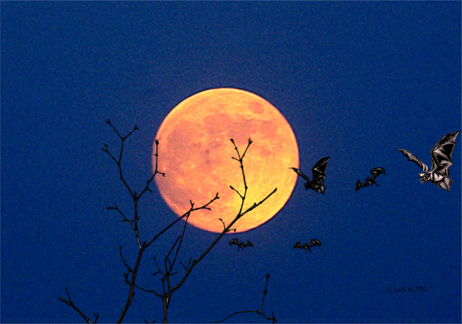 bats-flying-halloween