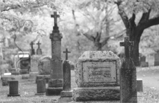 cemetaryghost