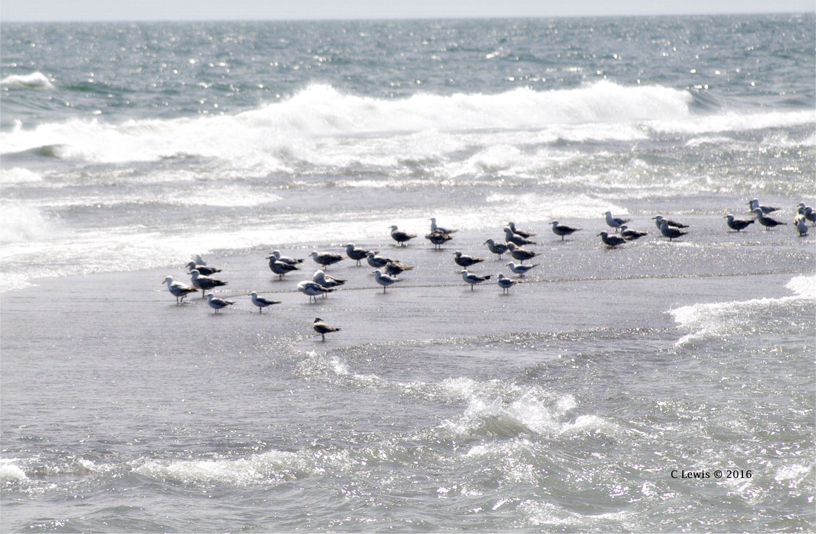 gullsnwaterlakehuron