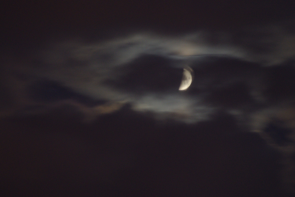 I'll get you my pretty, and your little guns too! (hope I don't get deleted)