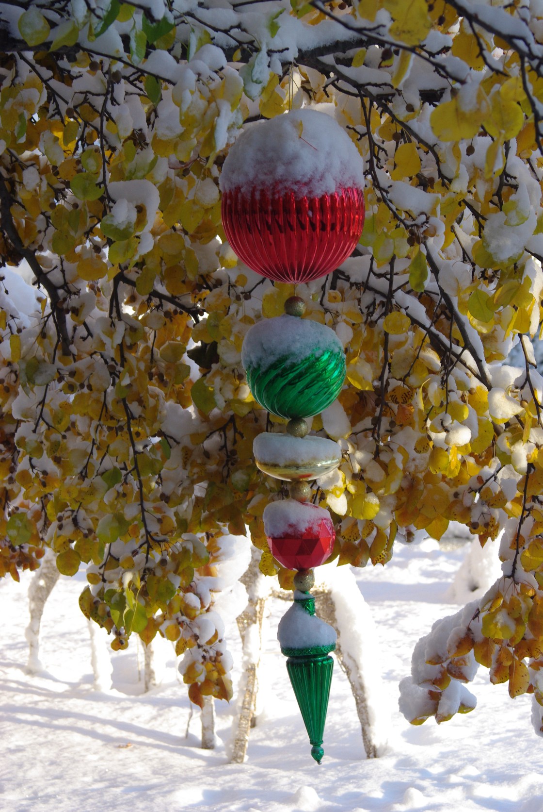 novfirstsnow21st-036