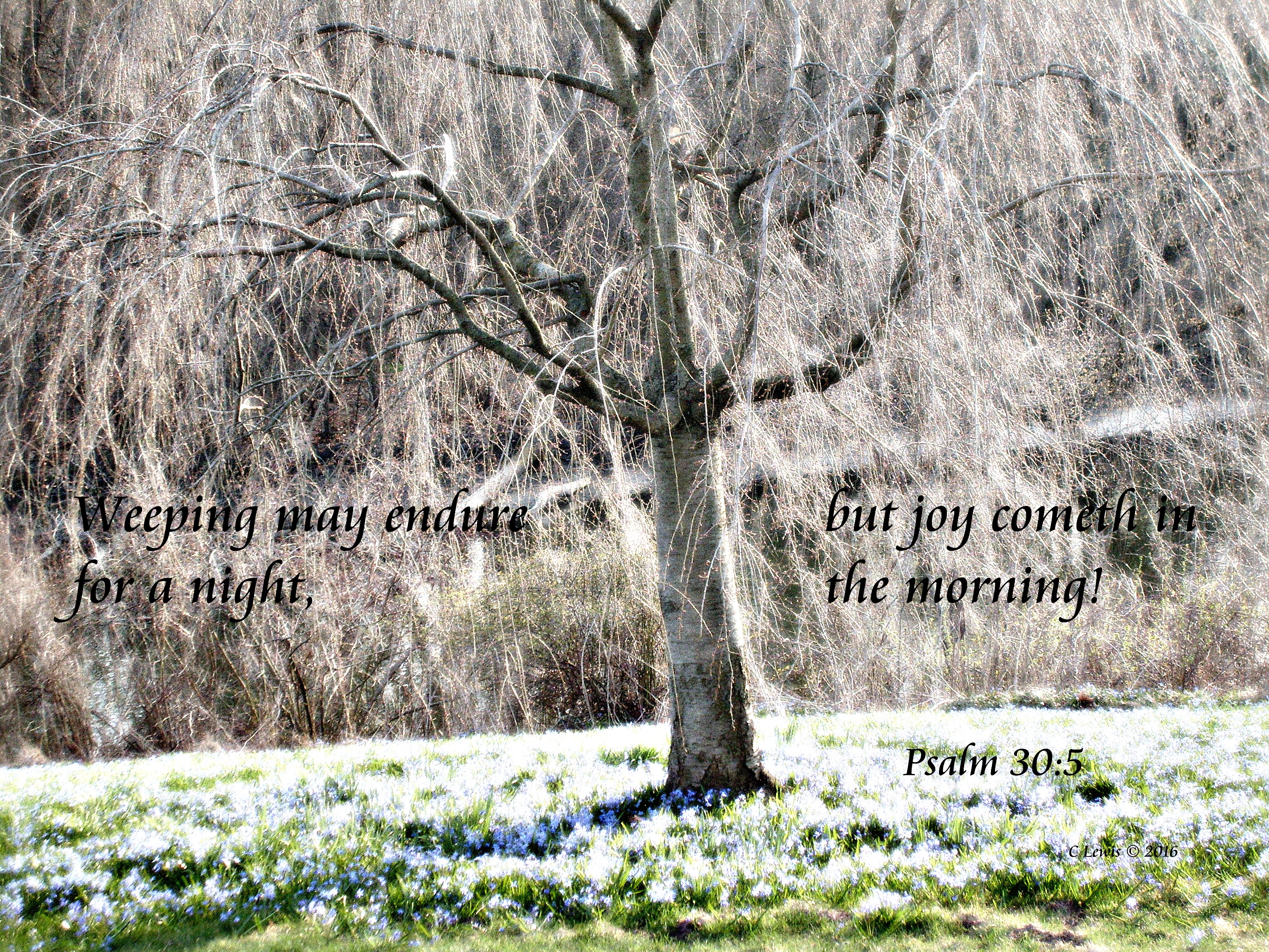 psalm-30-5